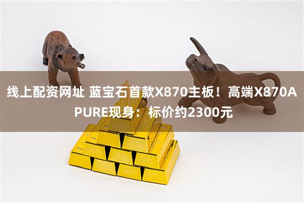 线上配资网址 蓝宝石首款X870主板！高端X870A PURE现身：标价约2300元
