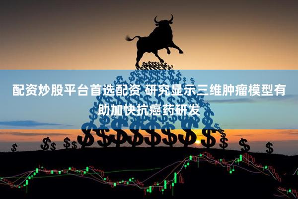 配资炒股平台首选配资 研究显示三维肿瘤模型有助加快抗癌药研发